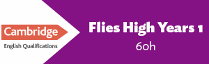 Flies High Year 1 60h