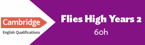 Flies High Year 2 60h